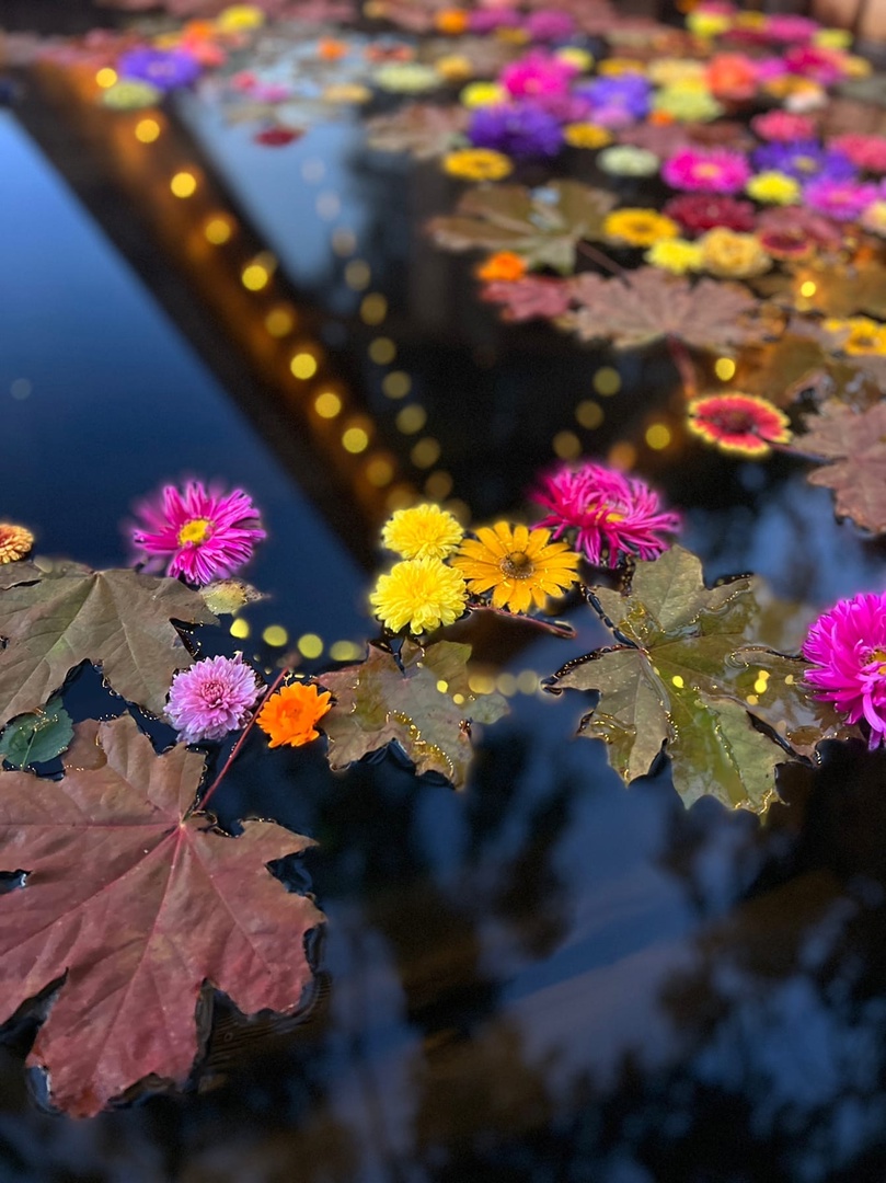 Фото На краю земли