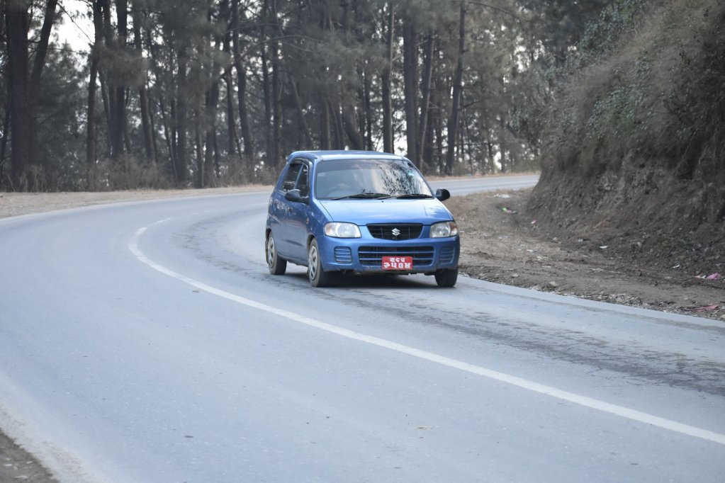 Фото Festoon Hotel