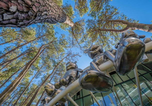 Фото Отель Resolute Shekvetili