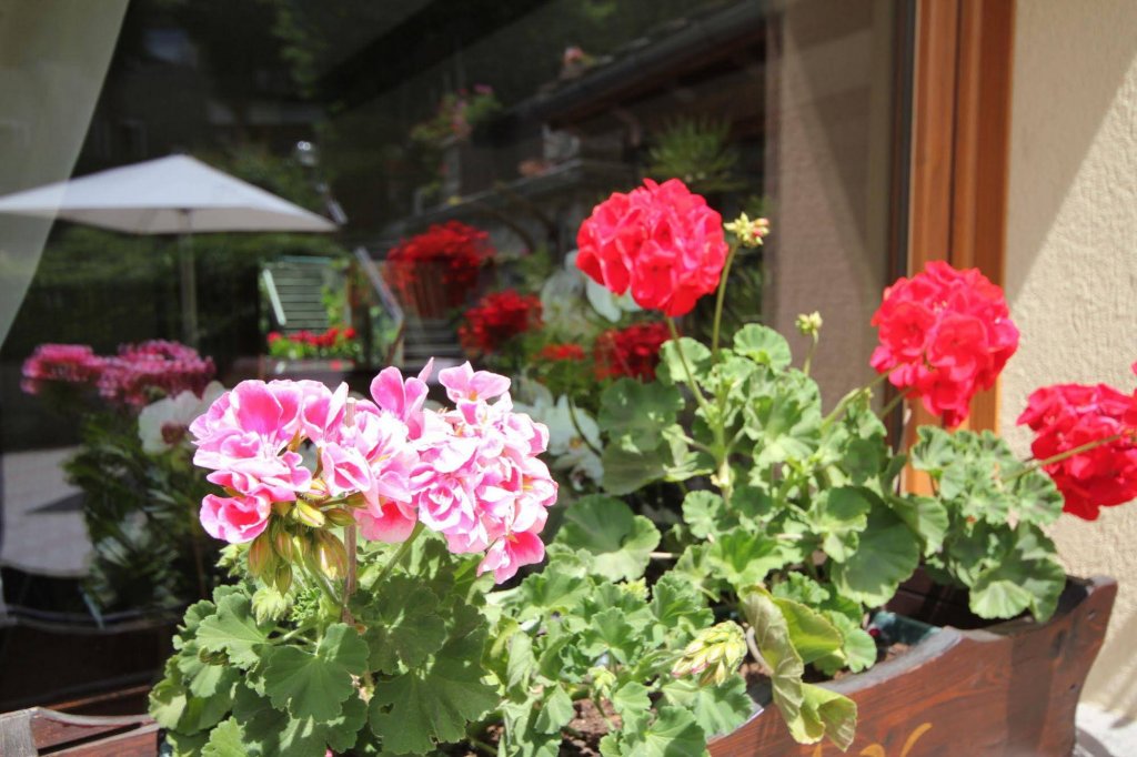 Фото Meuble Laurent