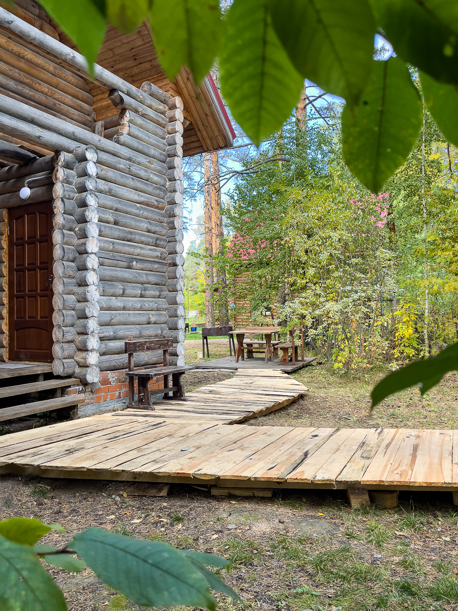 Фото Дача в соснах