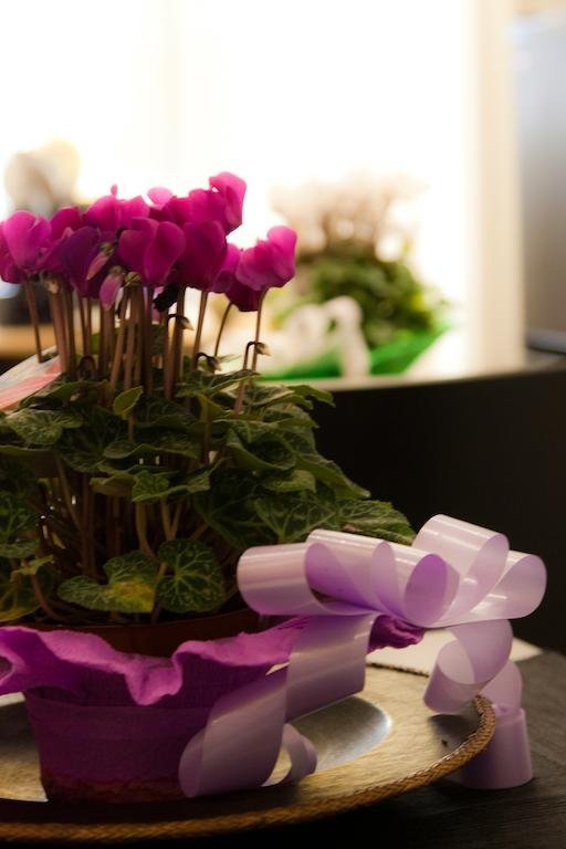 Фото La Sapienza House