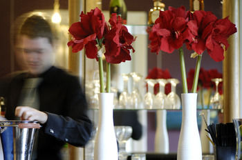 Фото Pelham House