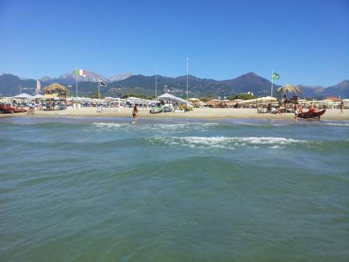 Фото 213958696842