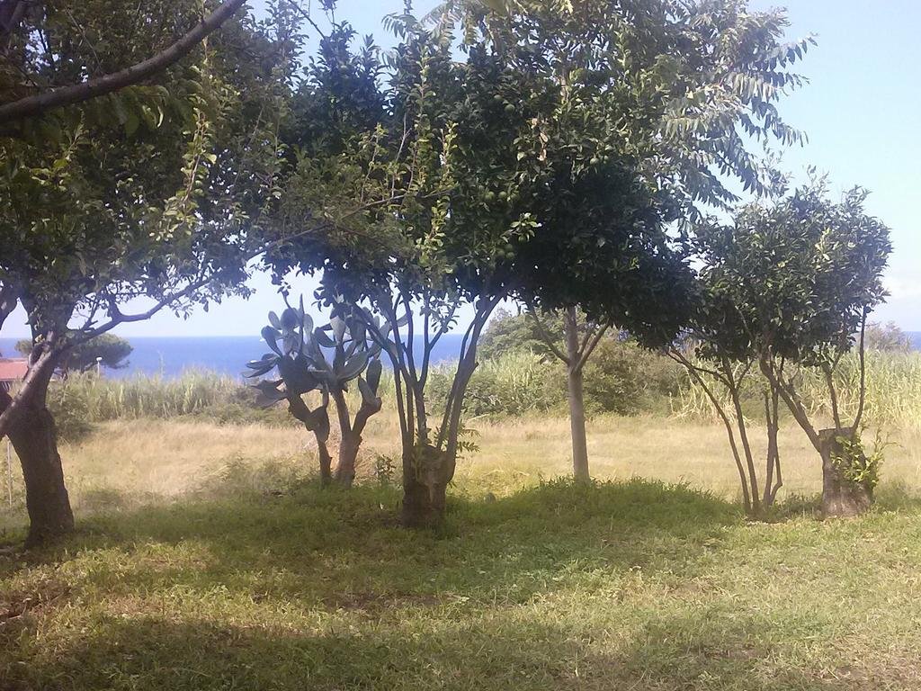 Фото Feudo di Plutino