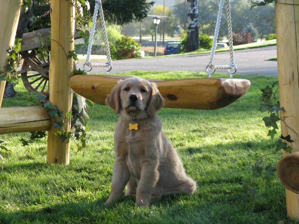 Фото Comfort Suites Kelowna