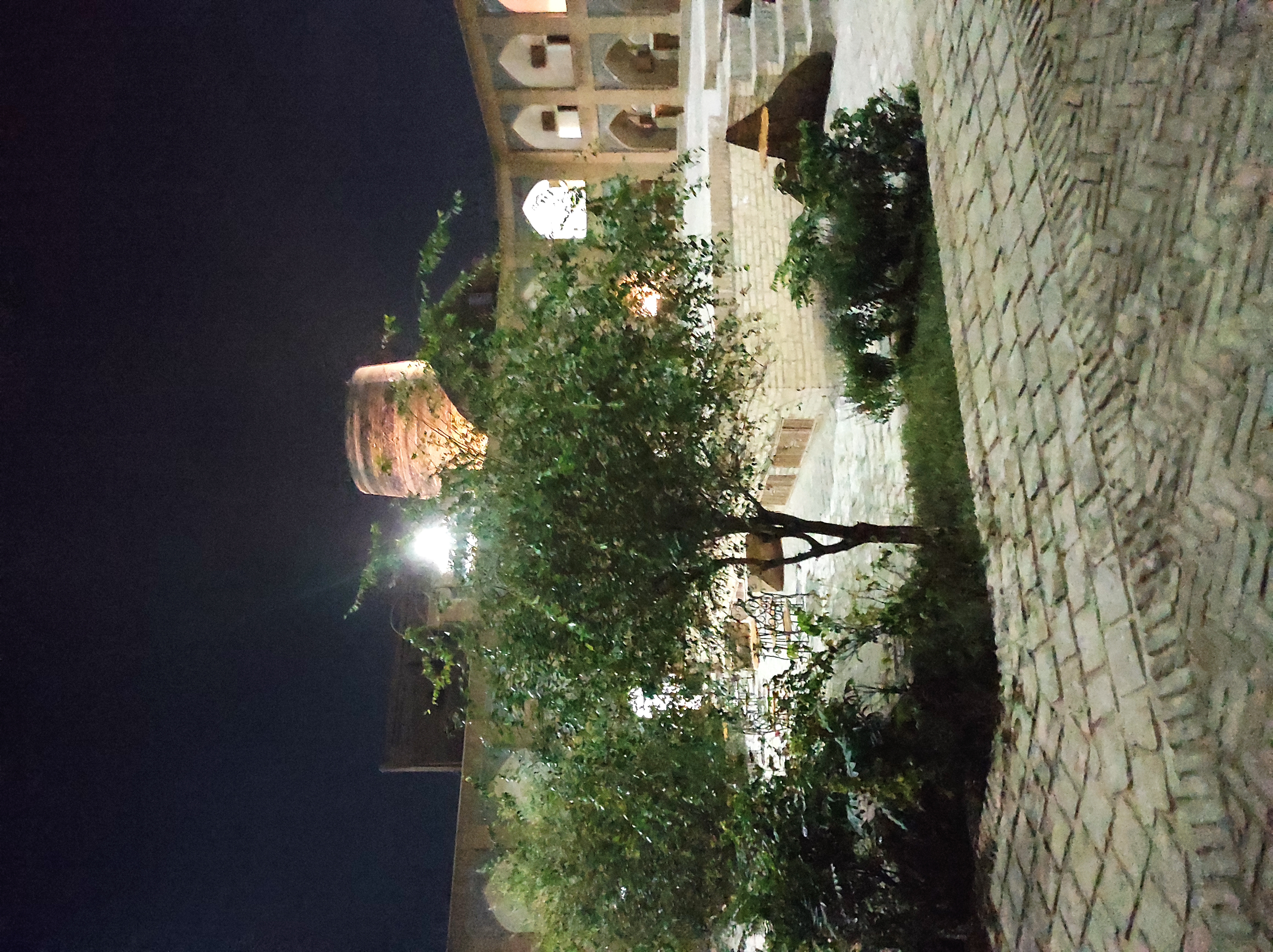 Фото  Ориент Стар Хива