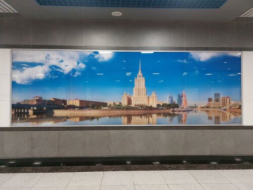 Жолдағы жезөкшелермен жыныстық қатынас