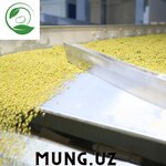 Mung.uz (Furqat Street, 2A), agricultural goods