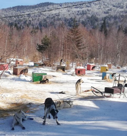 Фото Baikal Hill Residence