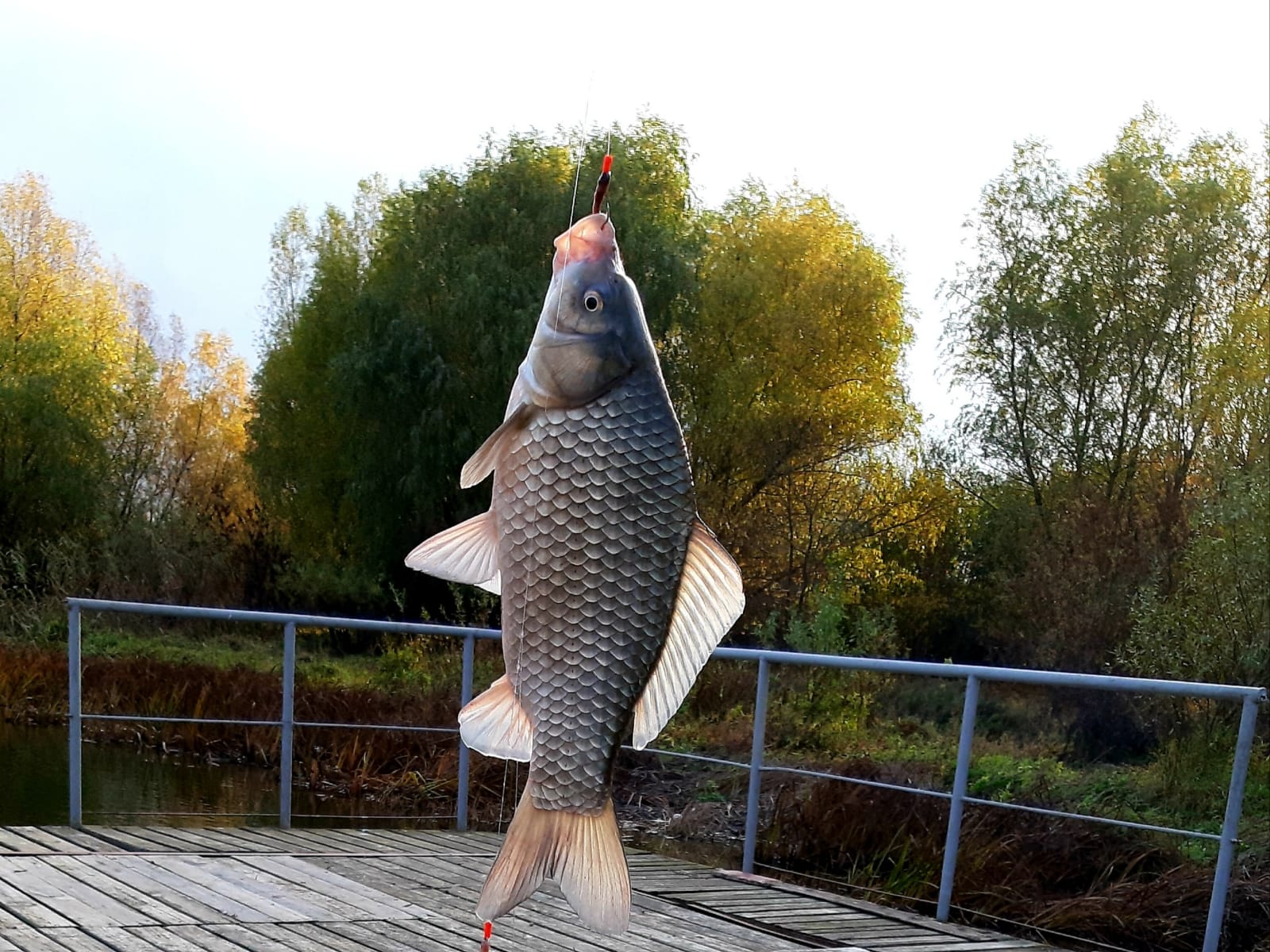 Фото Рыбалкино