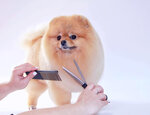 Furry miracle (derevnya Glukhovo, ulitsa Rublyovskoye Predmestye, 11к1), pet salon