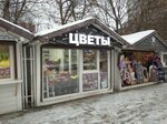 Искусственные цветы (Moscow Region, Reutov, 9th Microdistrict), artificial plants and flowers