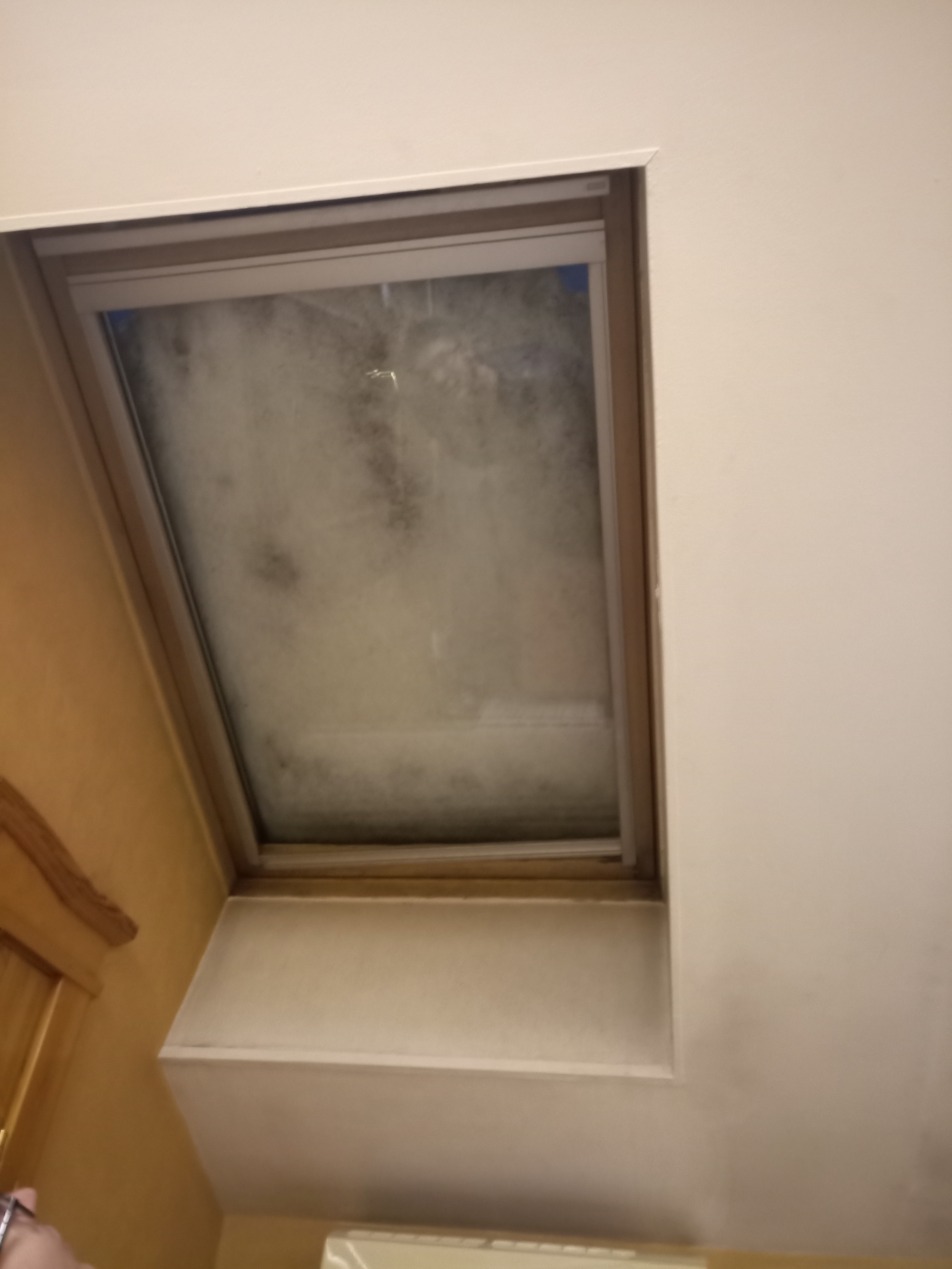 Фото Меньшиков