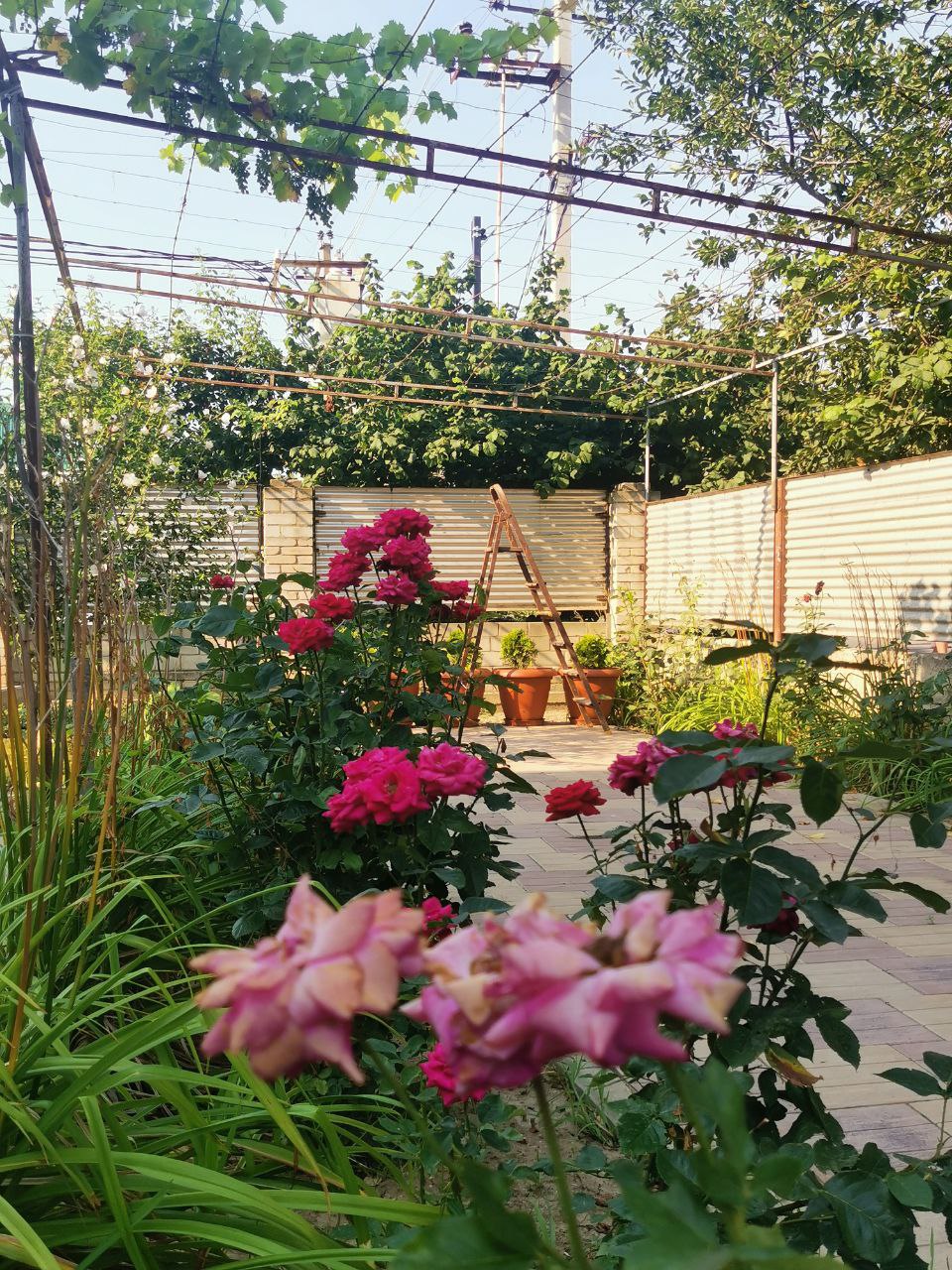 Фото Берег Благи