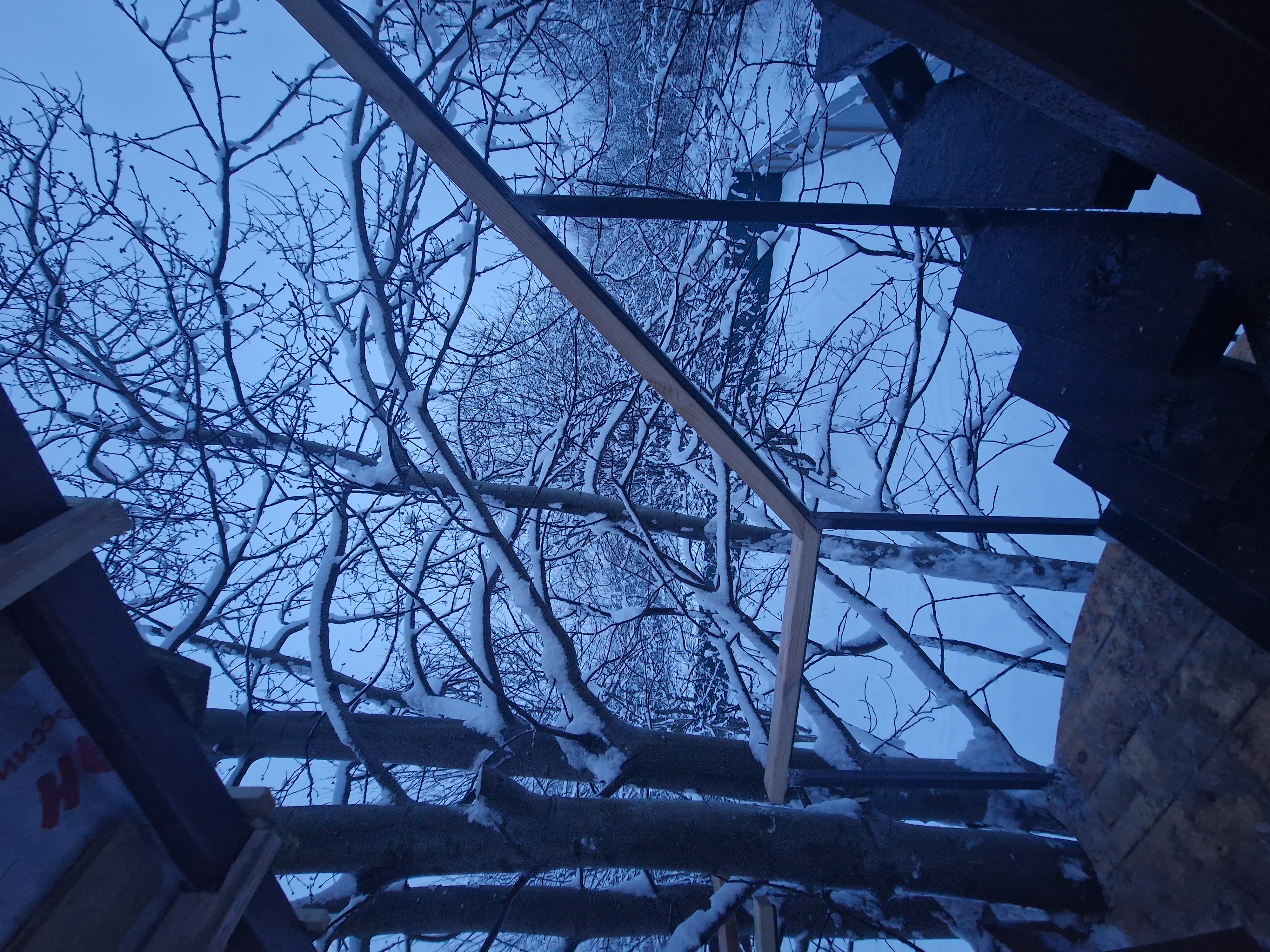 Фото Светлая роща