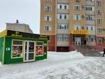 Kaspi Bank (Altyn Orda microdistrict, 9/1), atm