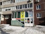 Колор (Ryabikova Street, 60А), school of the arts