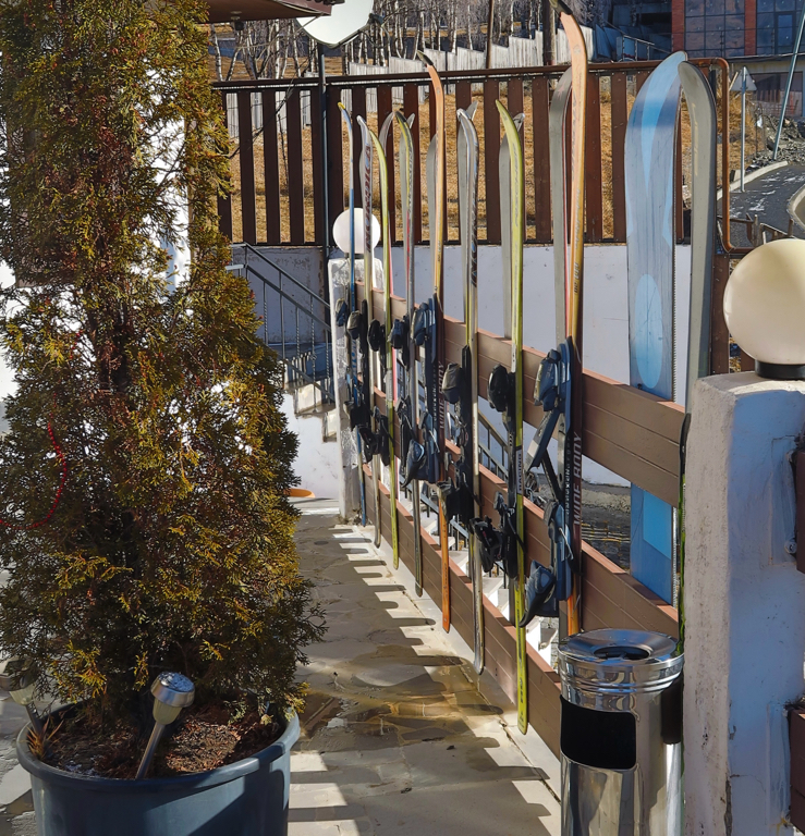 Фото Alpine Lounge Hotel