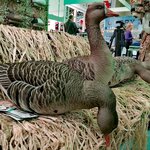 Aquazon.ru (Zvenigorodskaya Street, 9-11К), hunting supplies