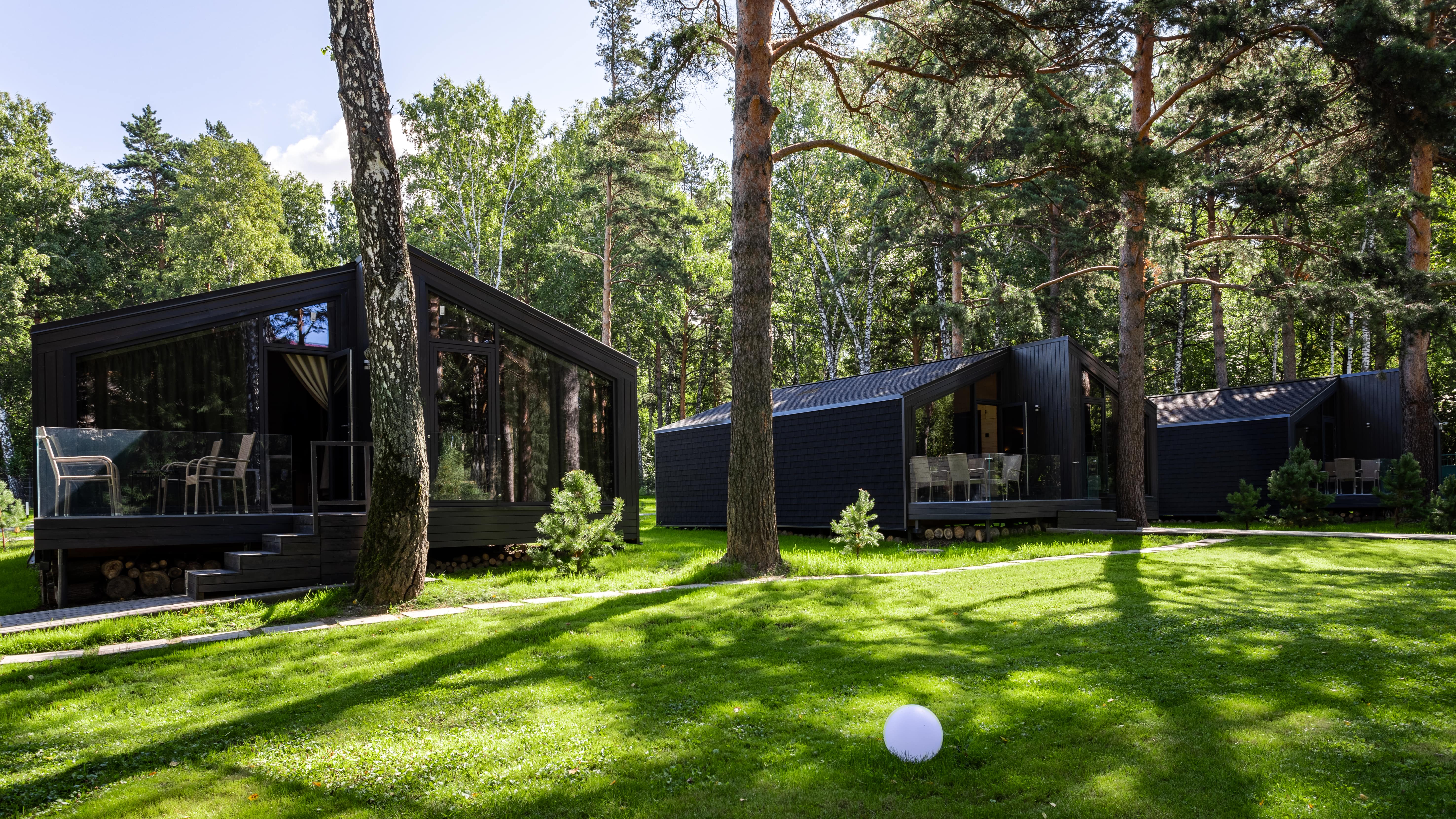 Фото Сосновый бор