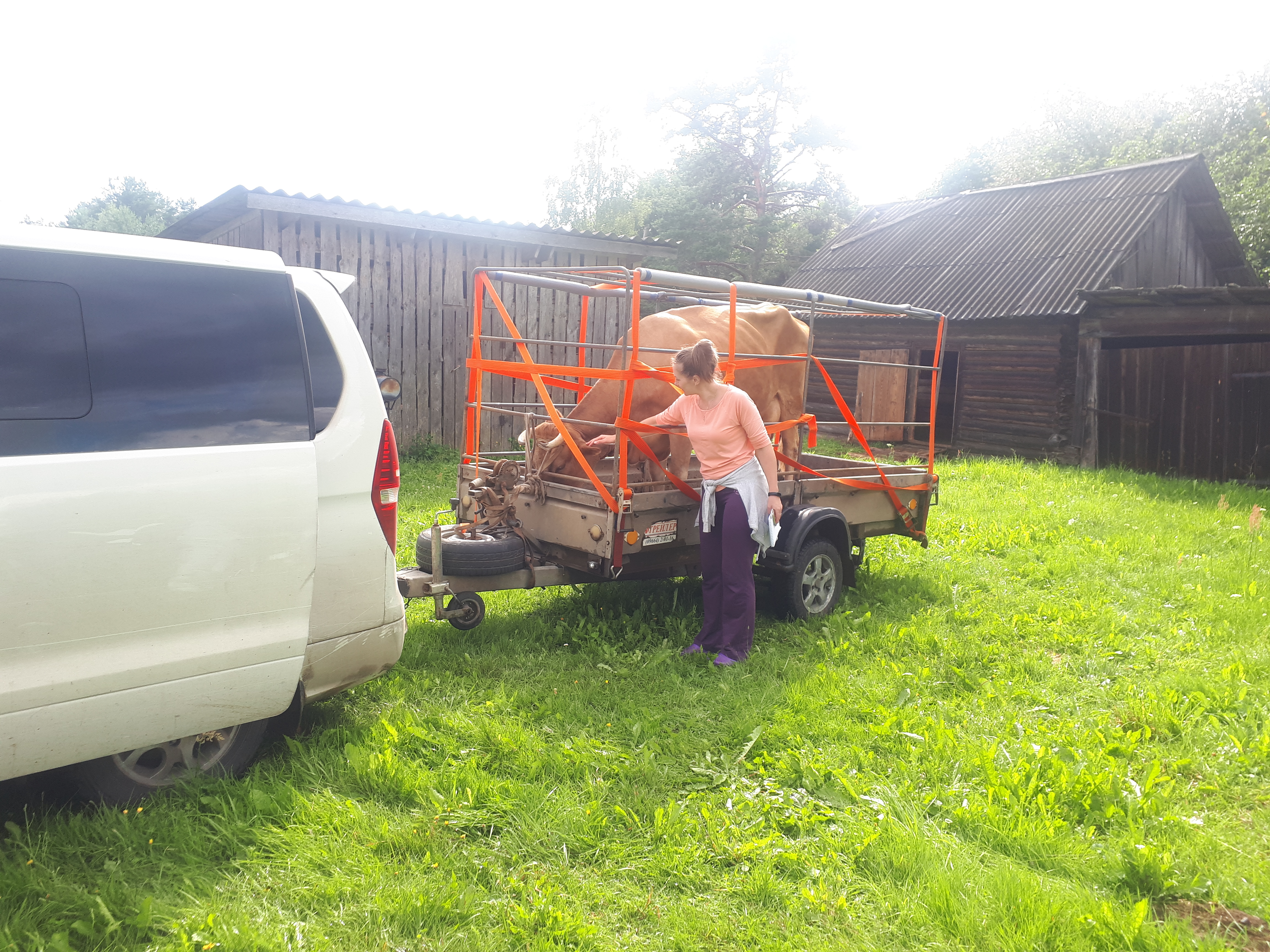 Фото Зеленьково