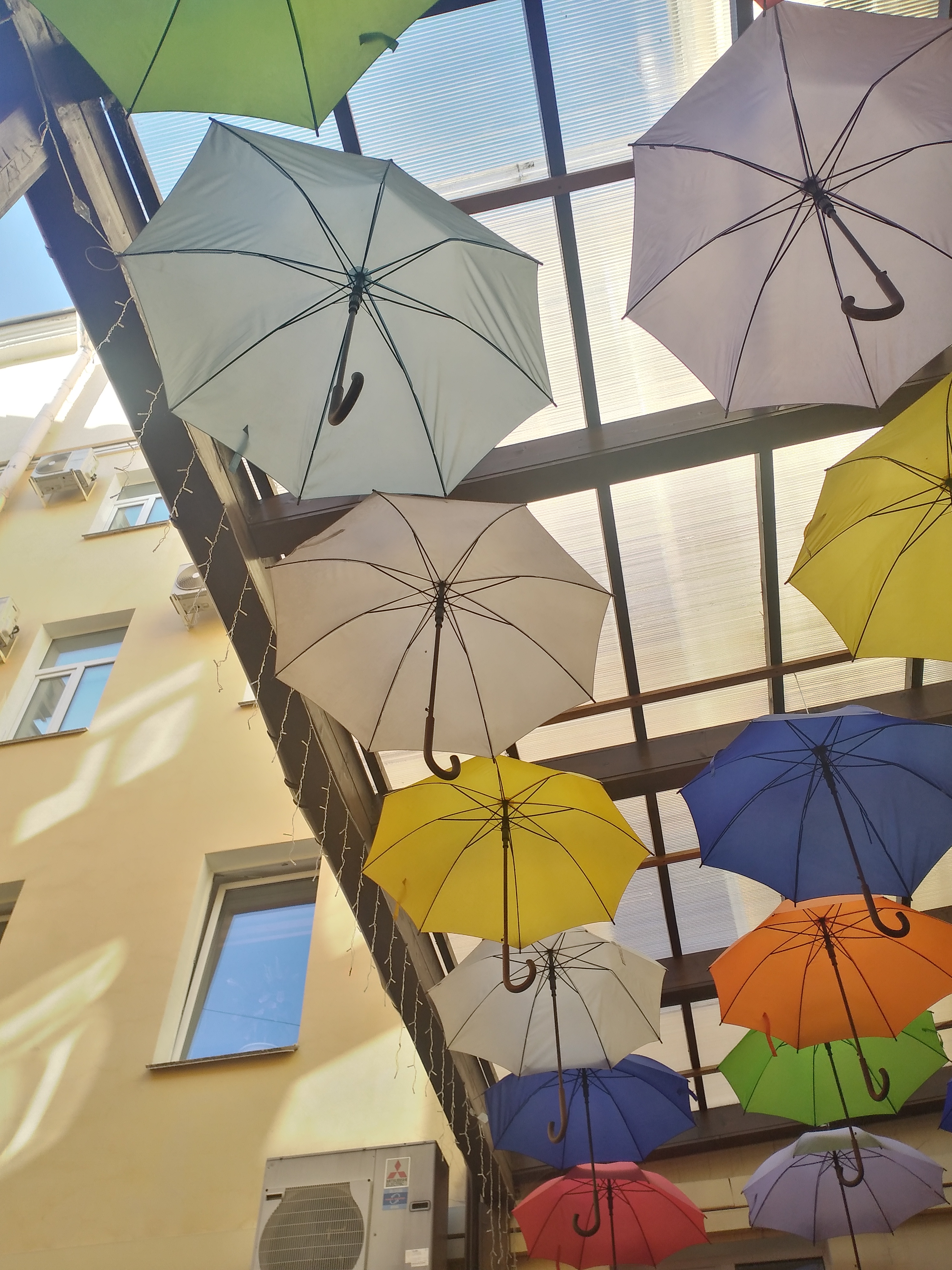 Фото Маэстро