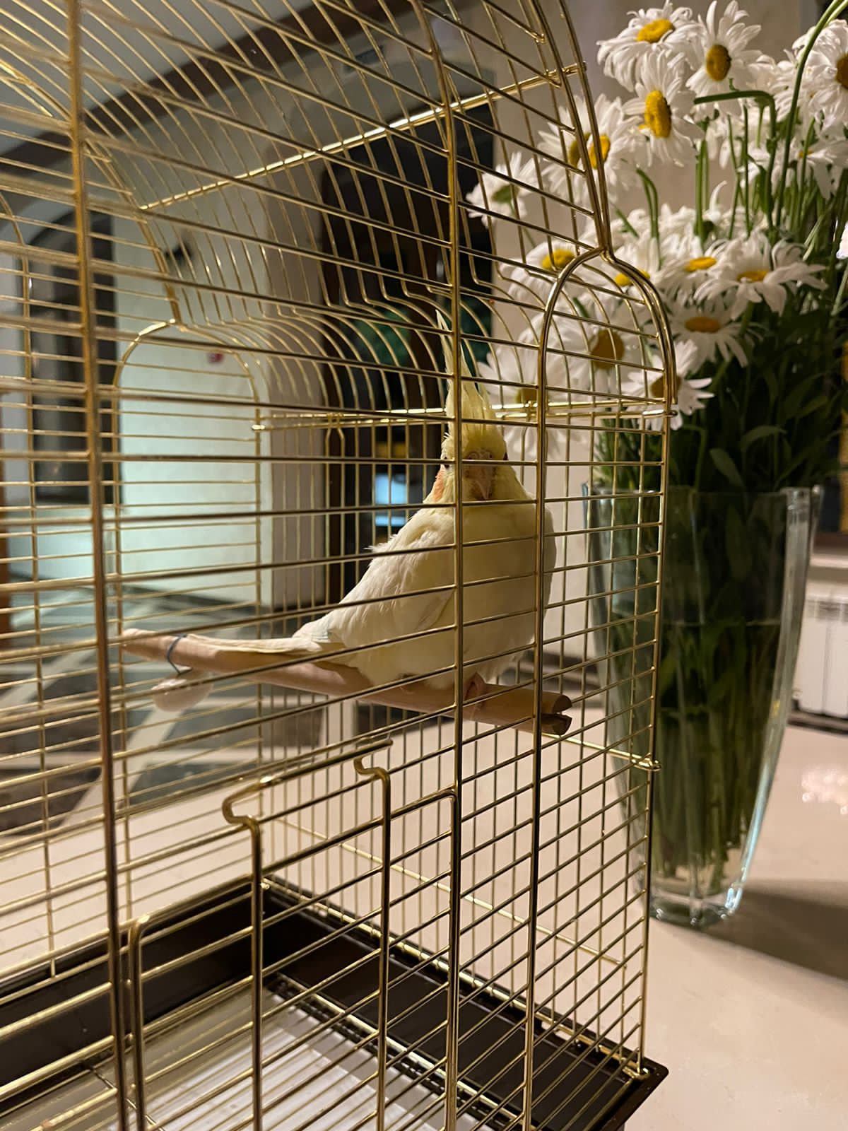 Фото Ваш отдых