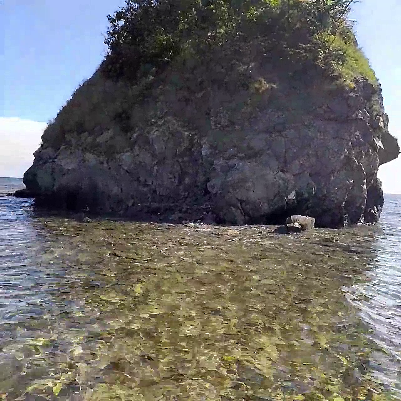 Фото Зелёная полянка