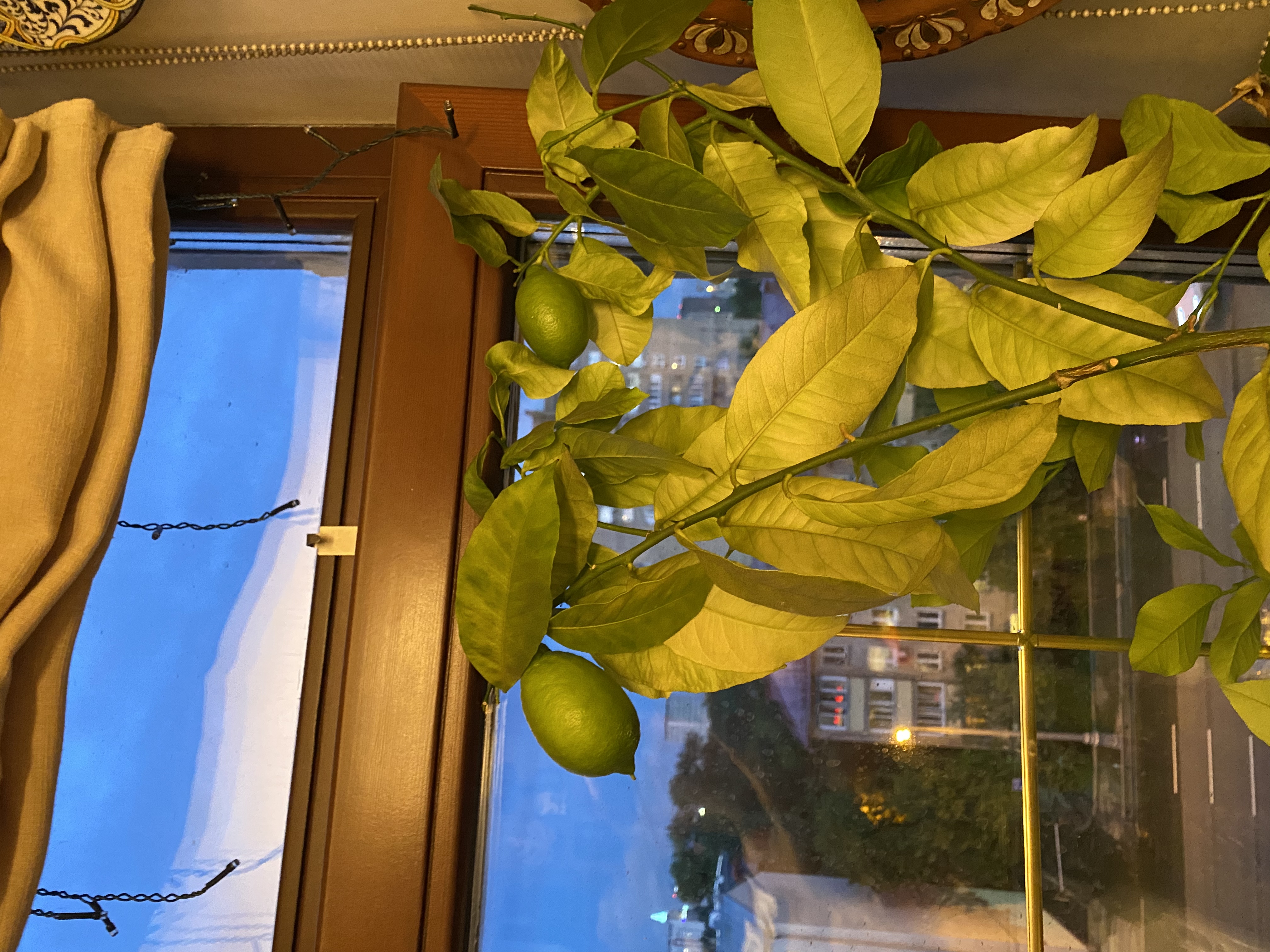 Фото Бутик-Отель 9