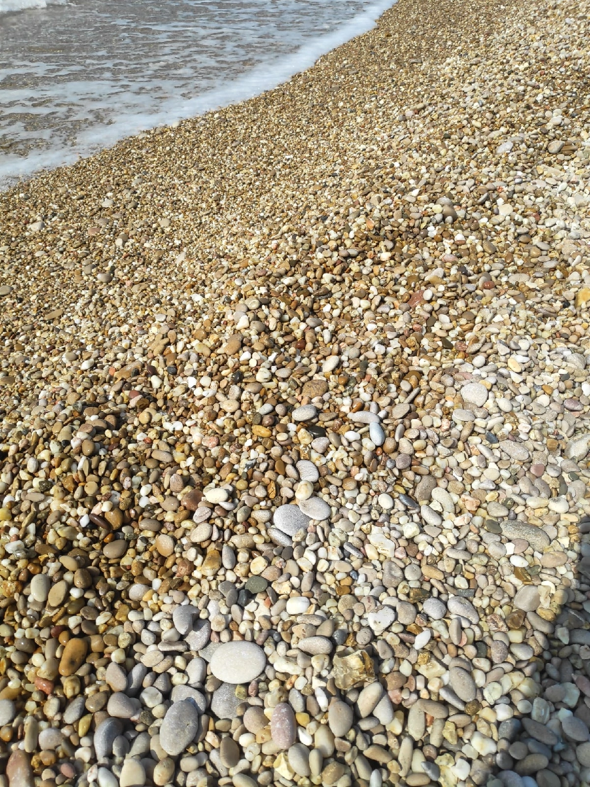 Фото У Чижика