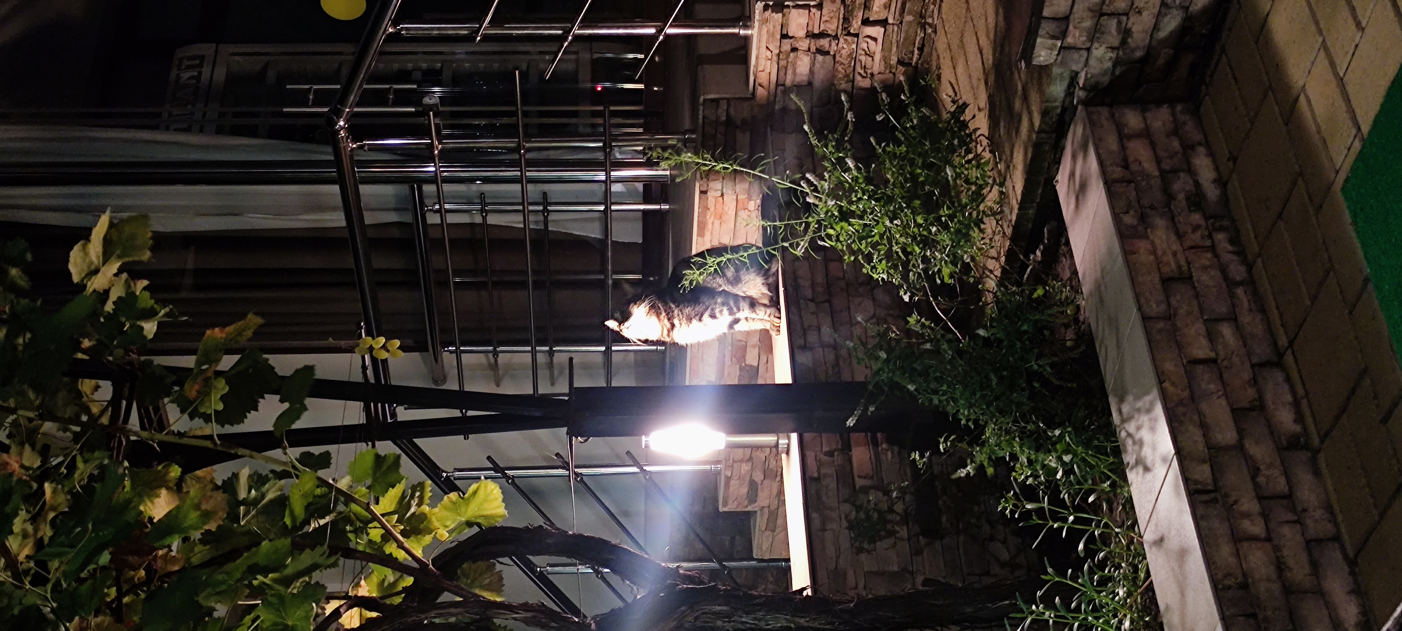 Фото Цветочный рай