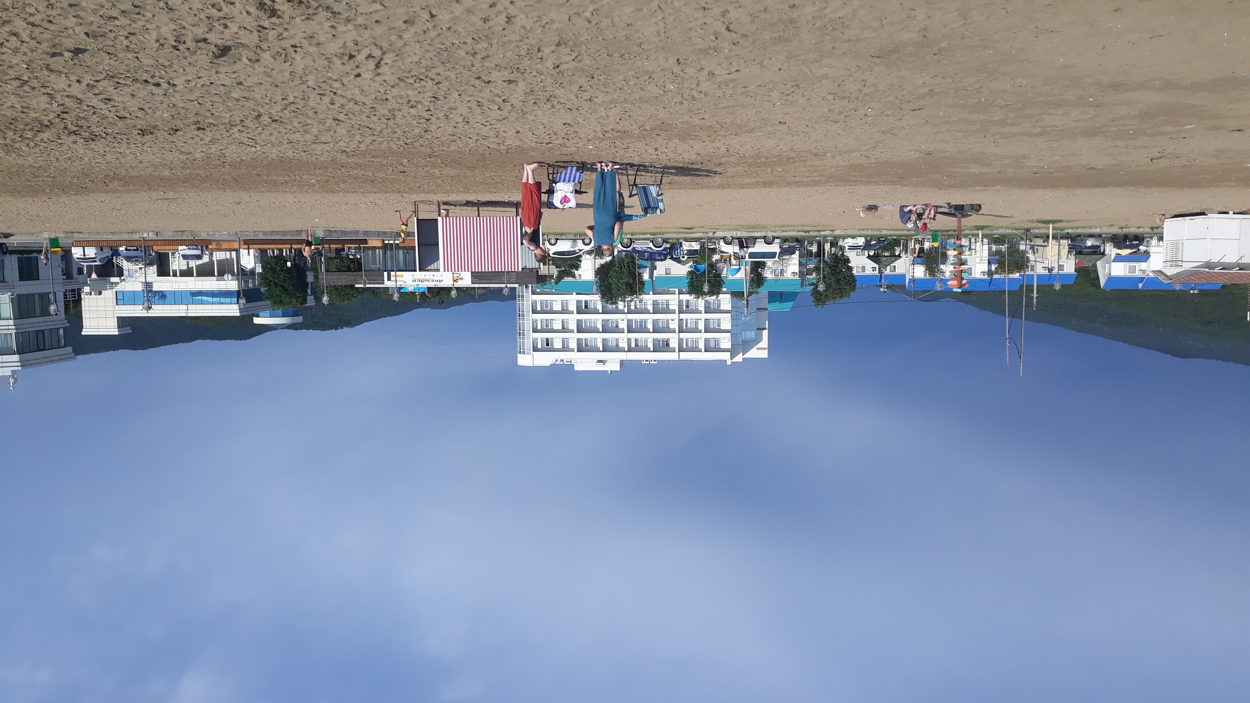 Фото Звезда моря