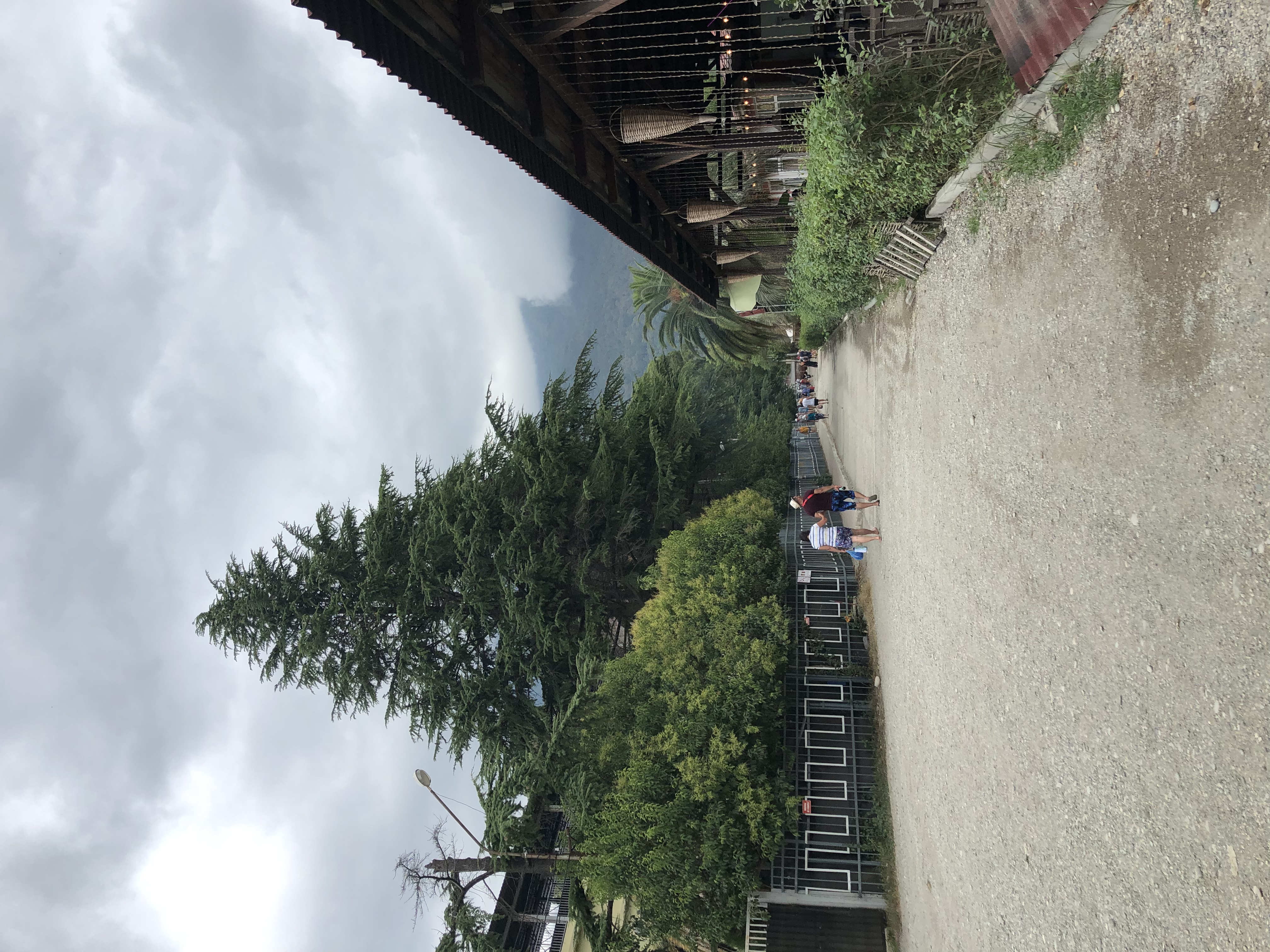 Фото Репруа