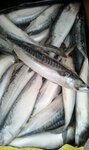 Магазин рыбы и морепродуктов (ulitsa Voroshilova, 26), fish and seafood
