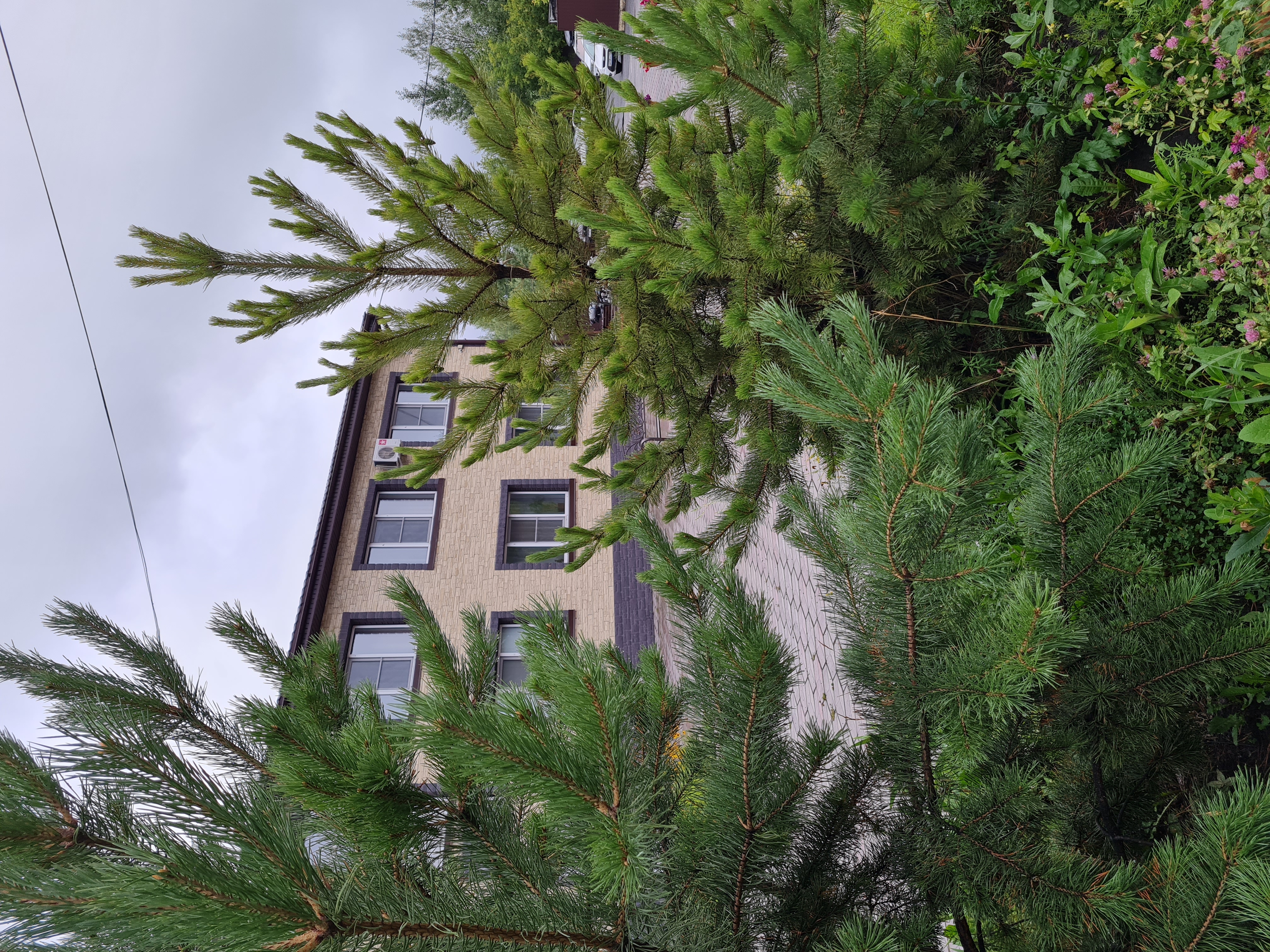 Фото Виктория