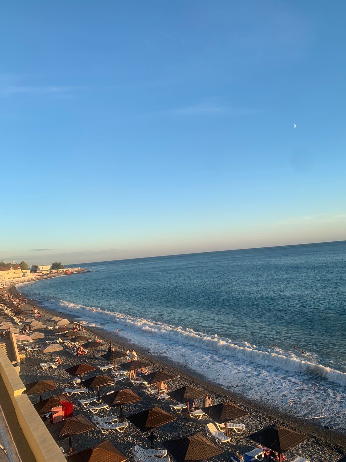 Фото Лесная сказка