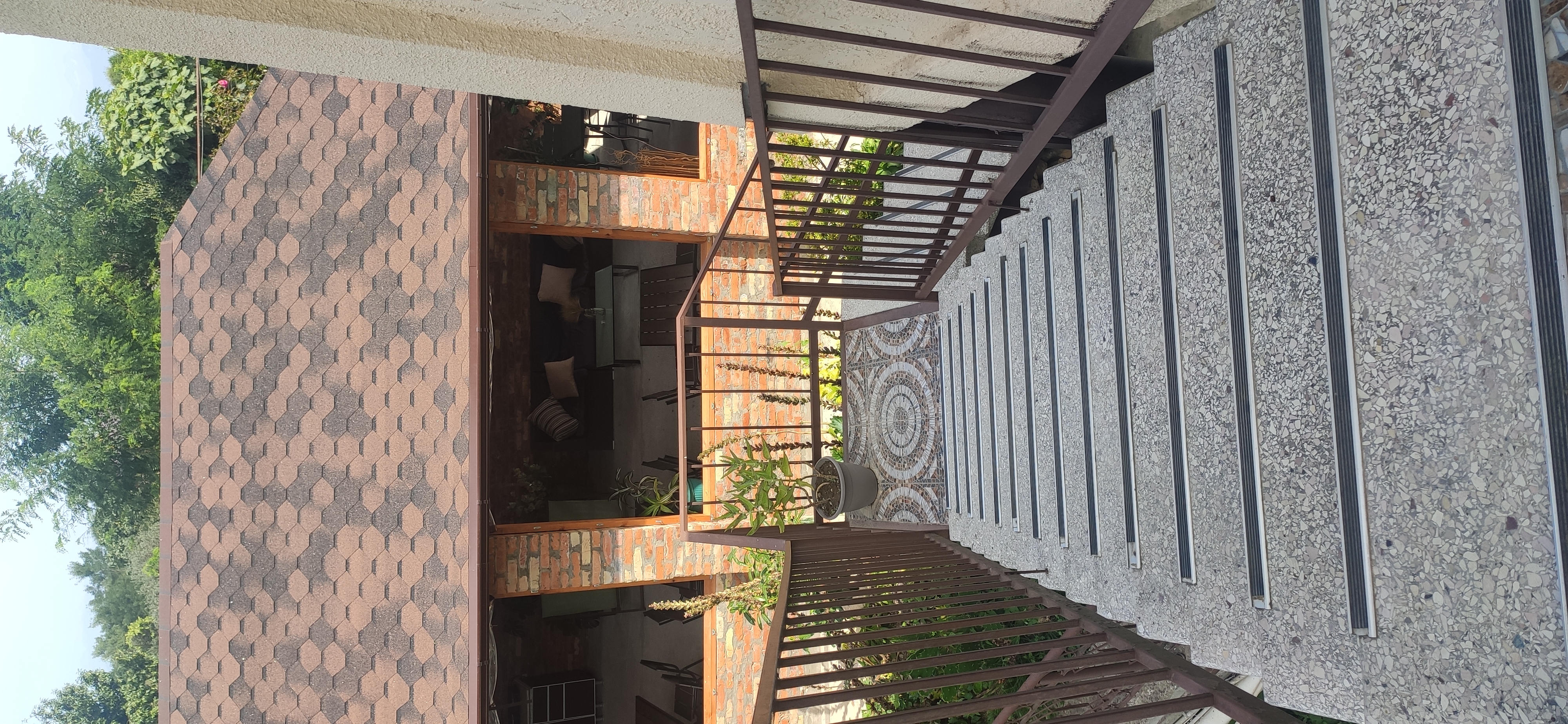 Фото Эвкалипт