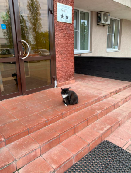 Фото Мещера