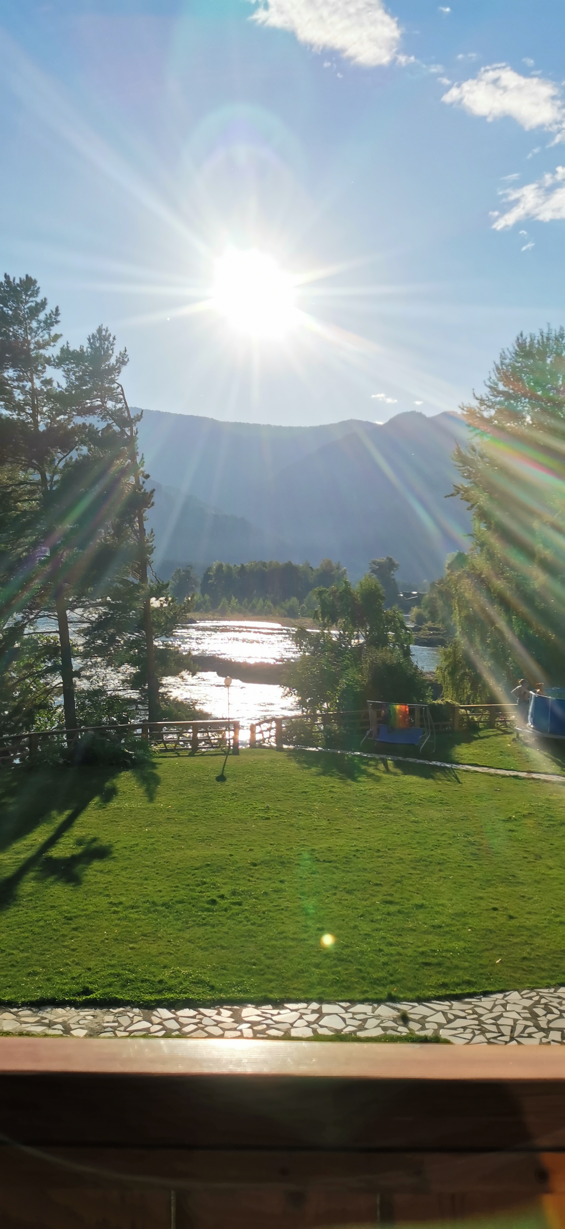 Фото Альбатрос