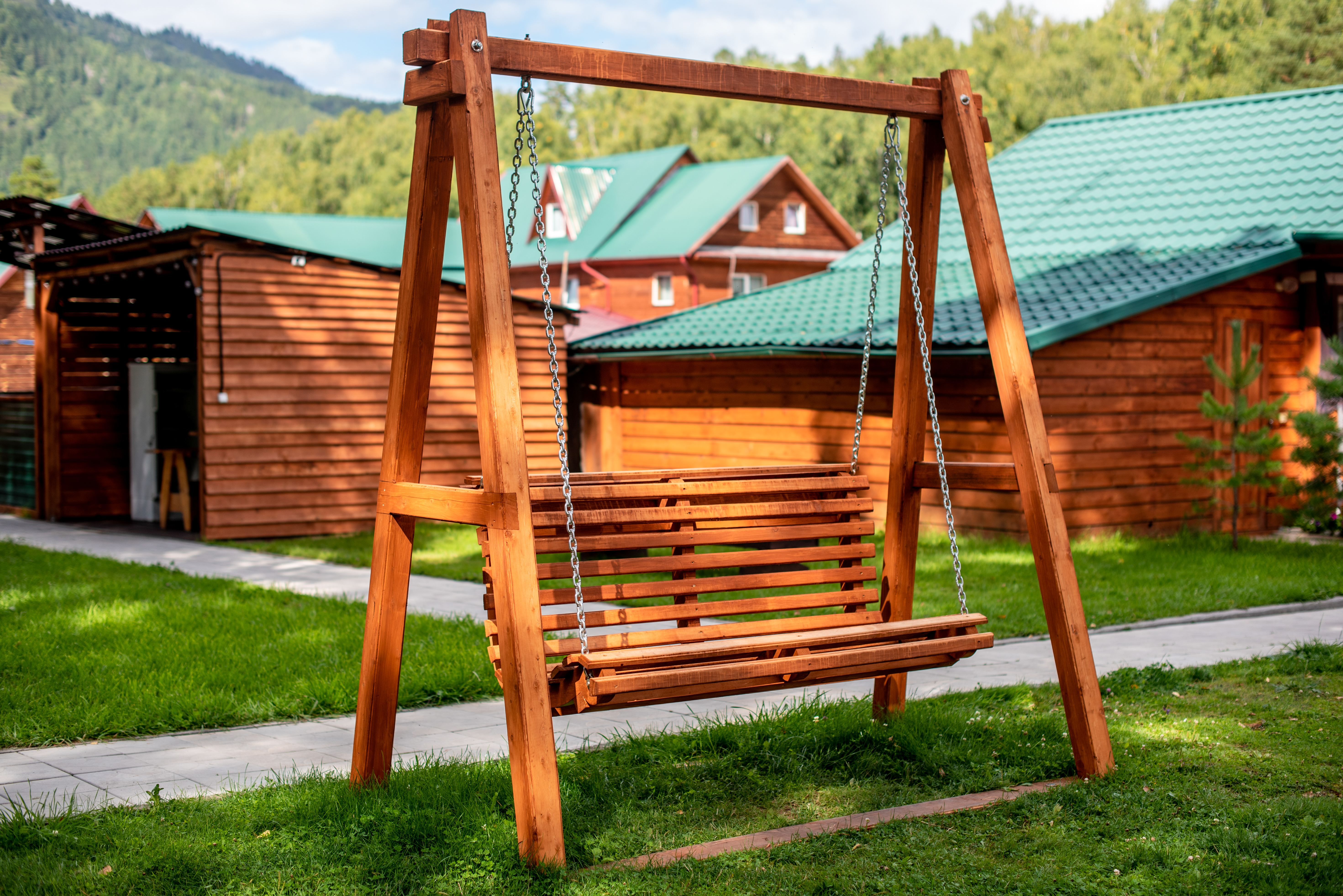 Фото Алтай берег