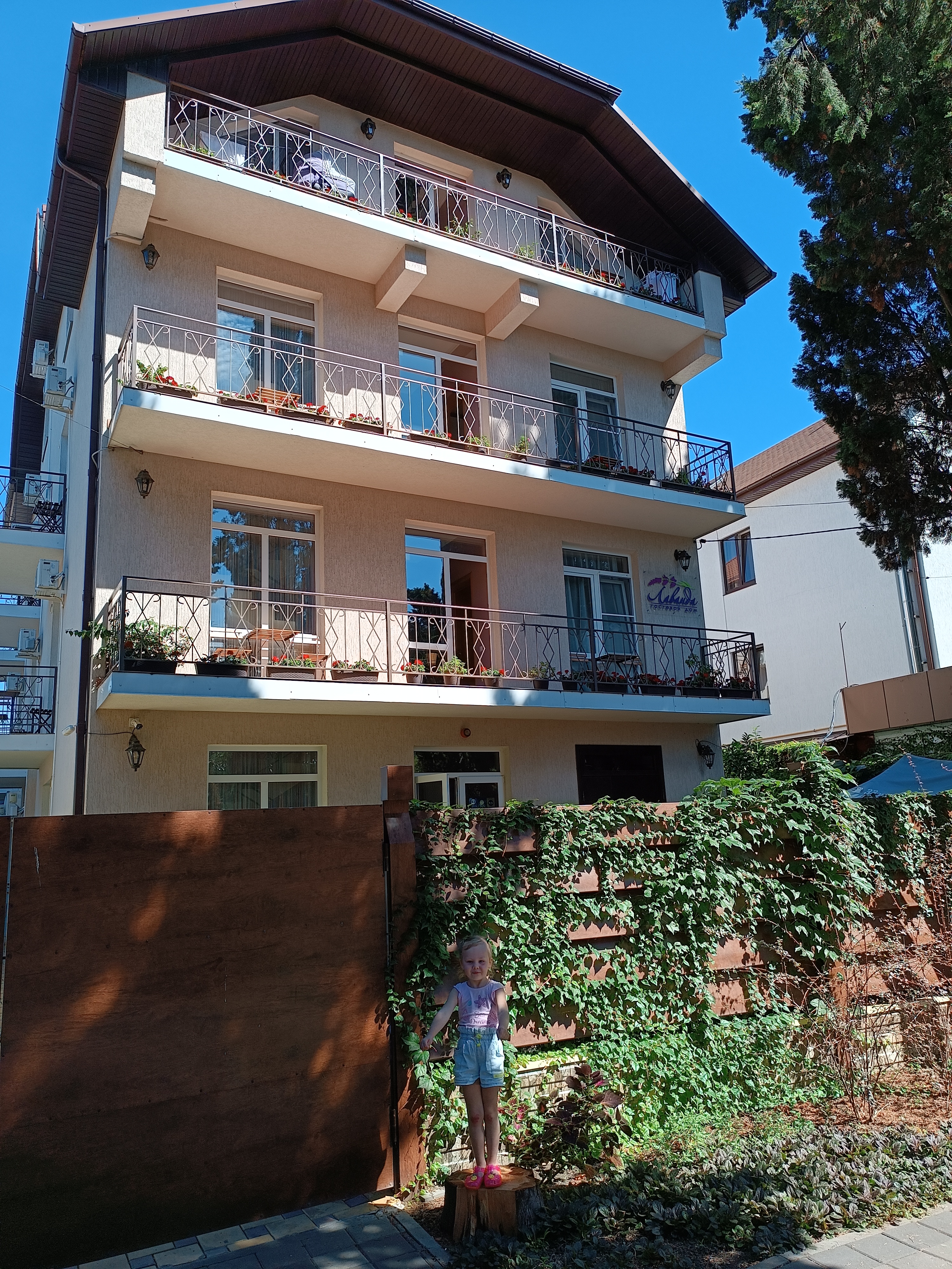 Фото Лаванда