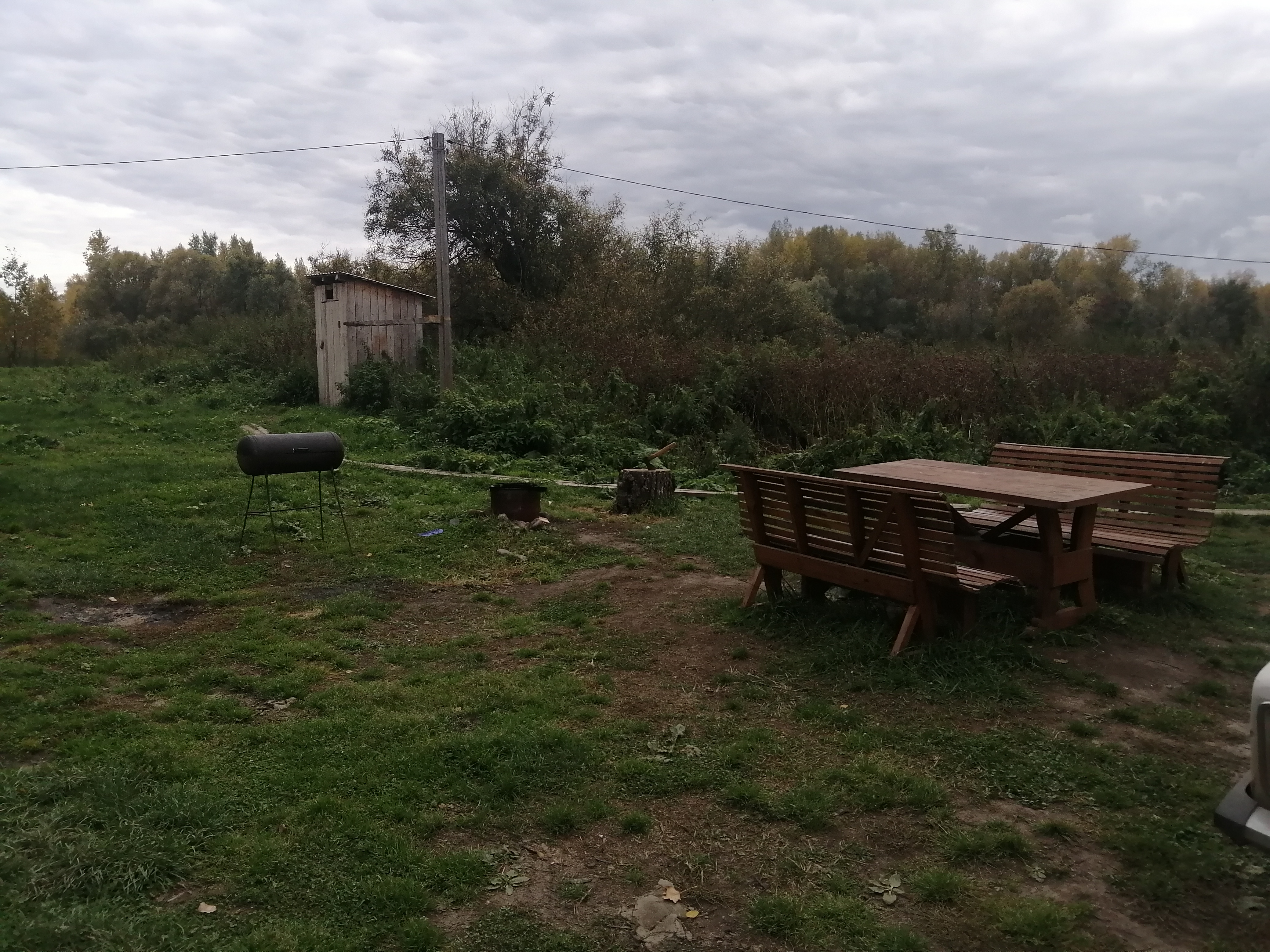 Фото Домик на дереве