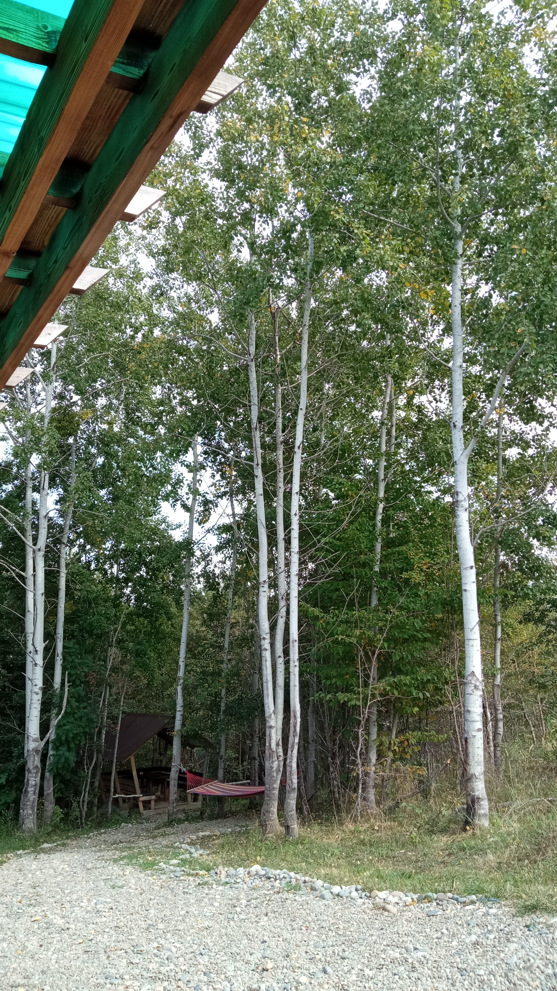 Фото Вершина