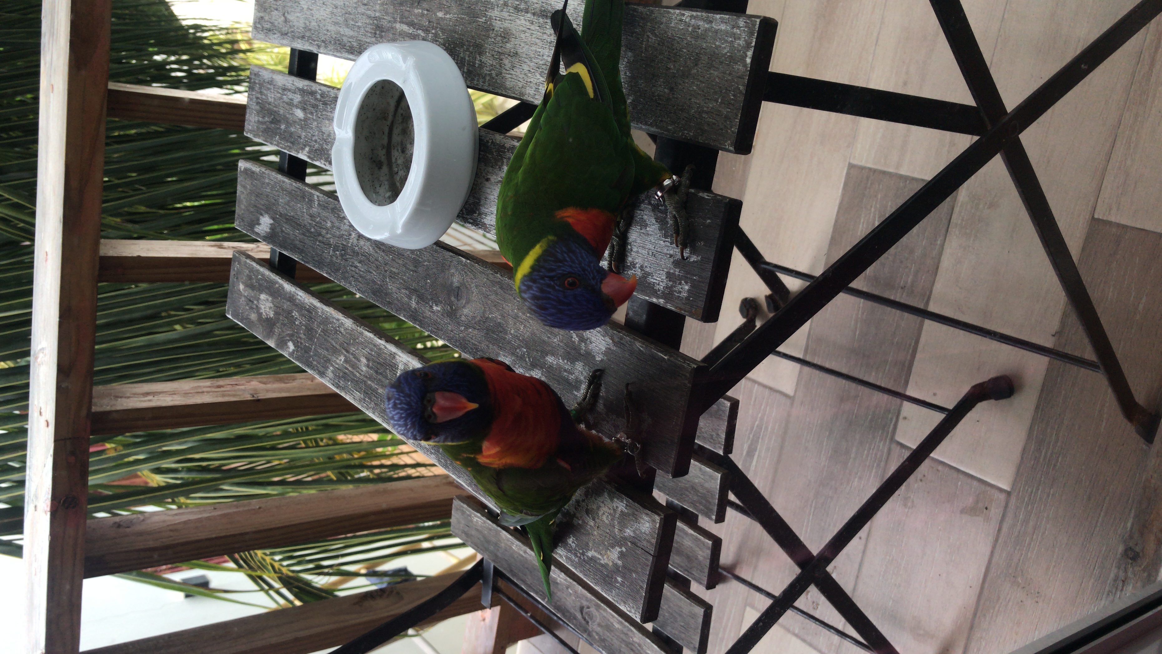 Фото Shallow Lagoon Rasdhoo