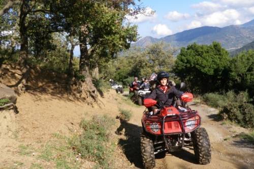 Фото Hotel Restaurant Hamilton Beach Resort