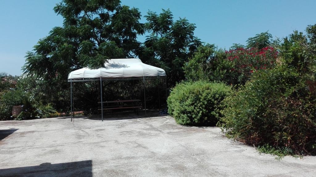 Фото Tenuta il Grifo