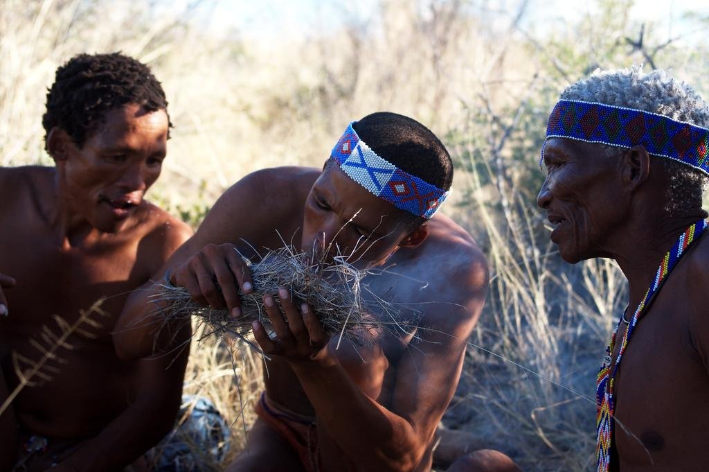 Фото Tsumkwe Country Lodge