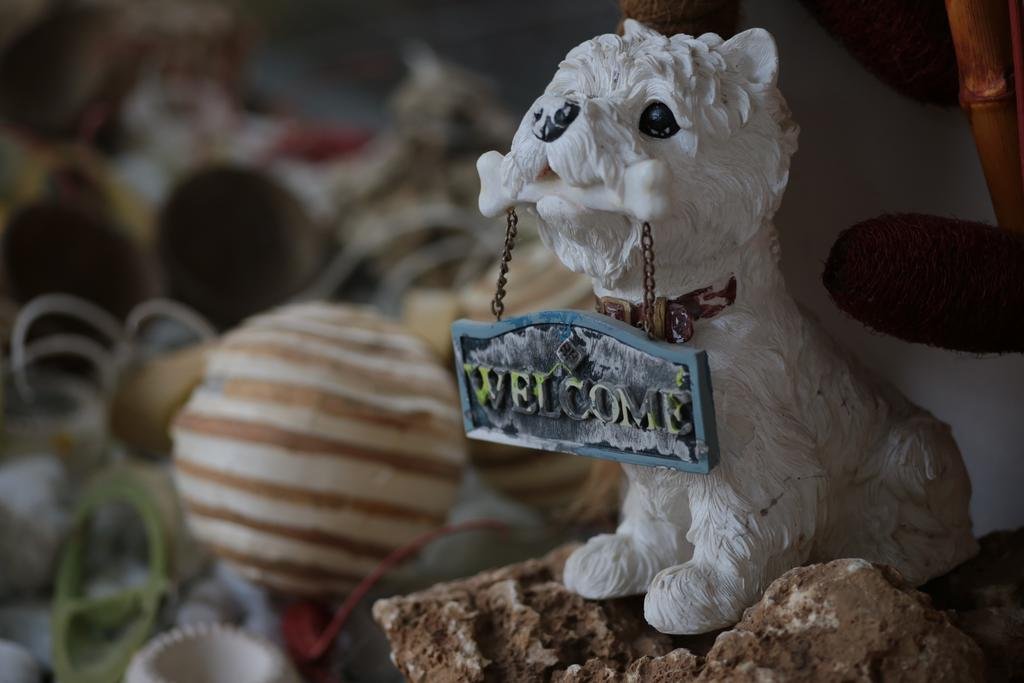 Фото Notte Stellata e Benessere