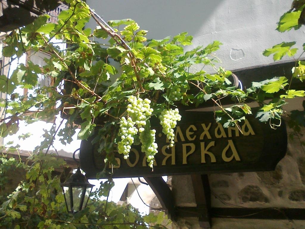 Фото Hotel Bolyarka